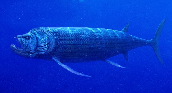 An artist's rendering of Xiphactinus. Creative Commons License. By Julian Johnson